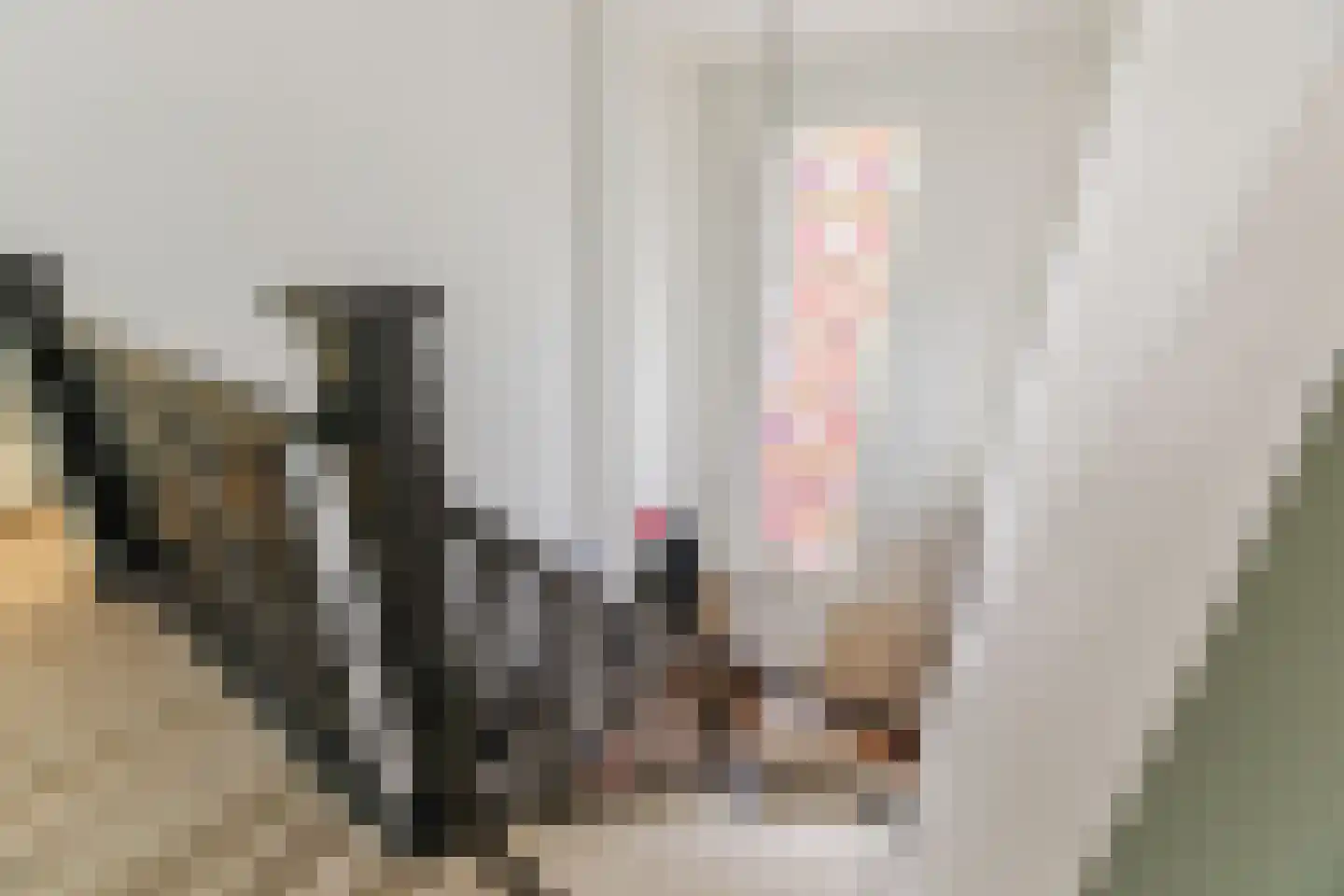 Julianastraat 5 Diessen thumbnail 31