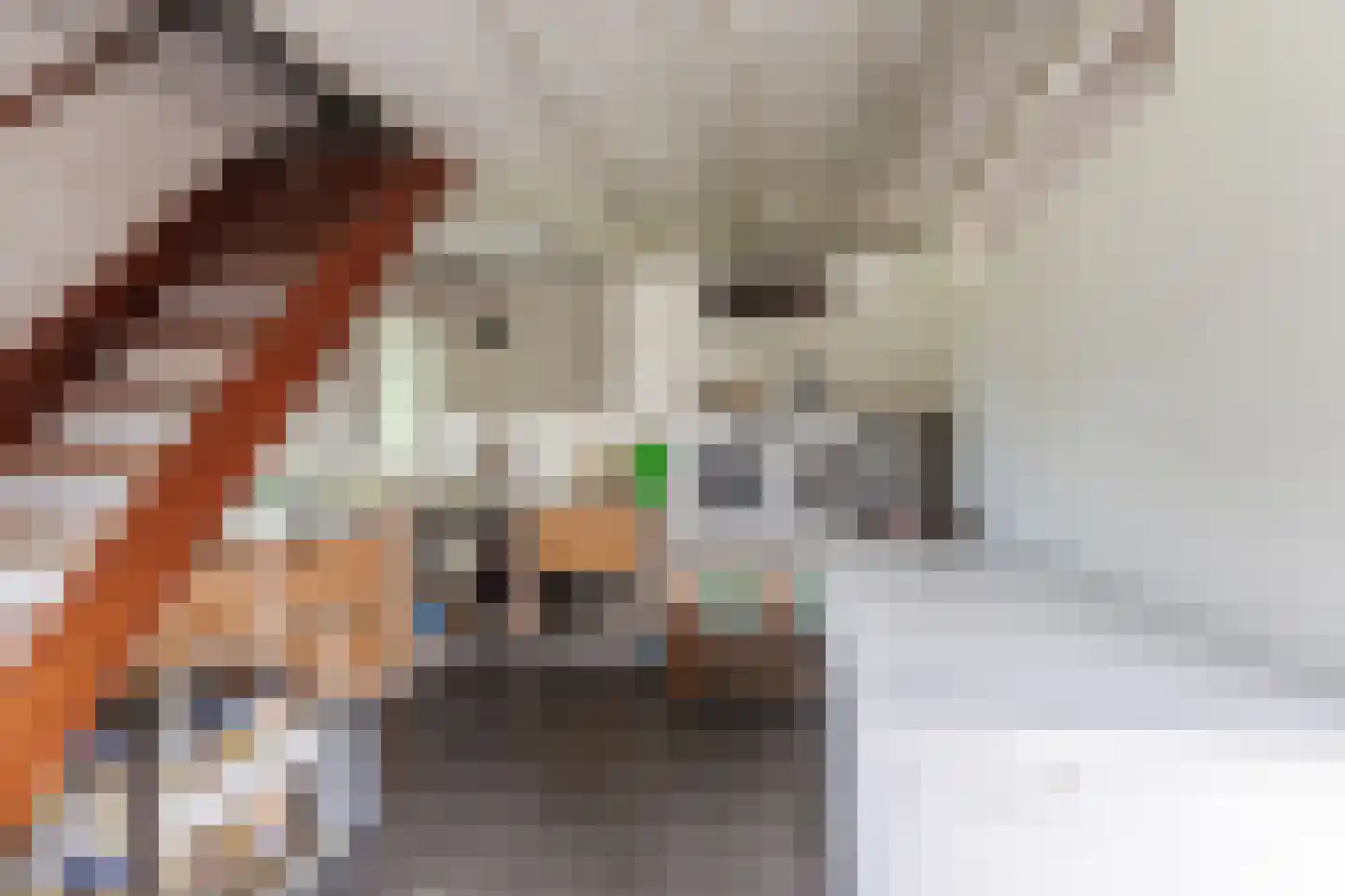 Julianastraat 5 Diessen thumbnail 38