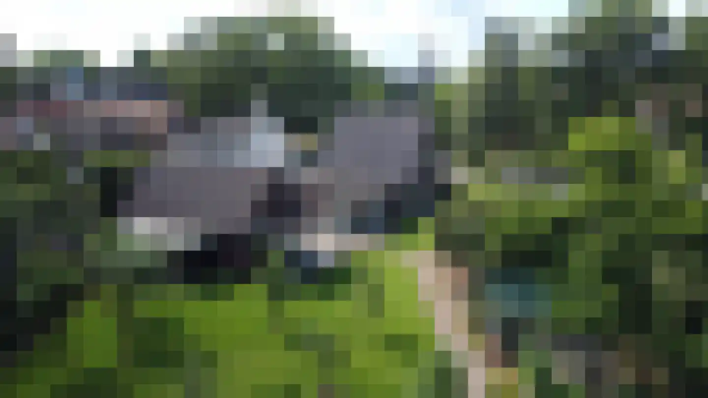 Julianastraat 5 Diessen thumbnail 4