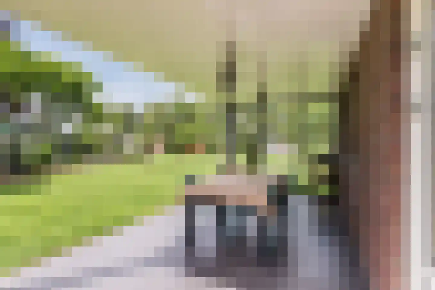 Julianastraat 5 Diessen thumbnail 40