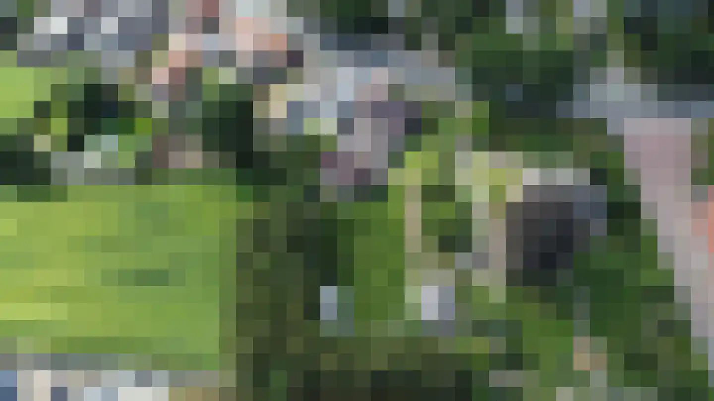 Julianastraat 5 Diessen thumbnail 46