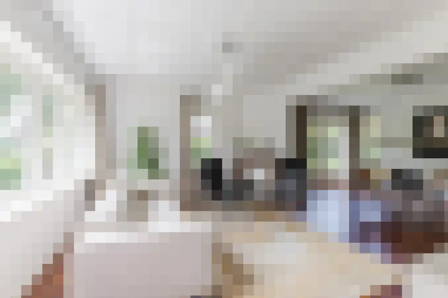 Julianastraat 5 Diessen thumbnail 7
