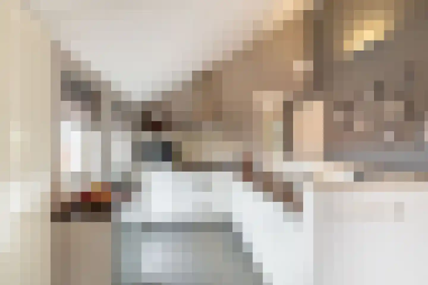 Julianastraat 5 E Poeldijk thumbnail 13