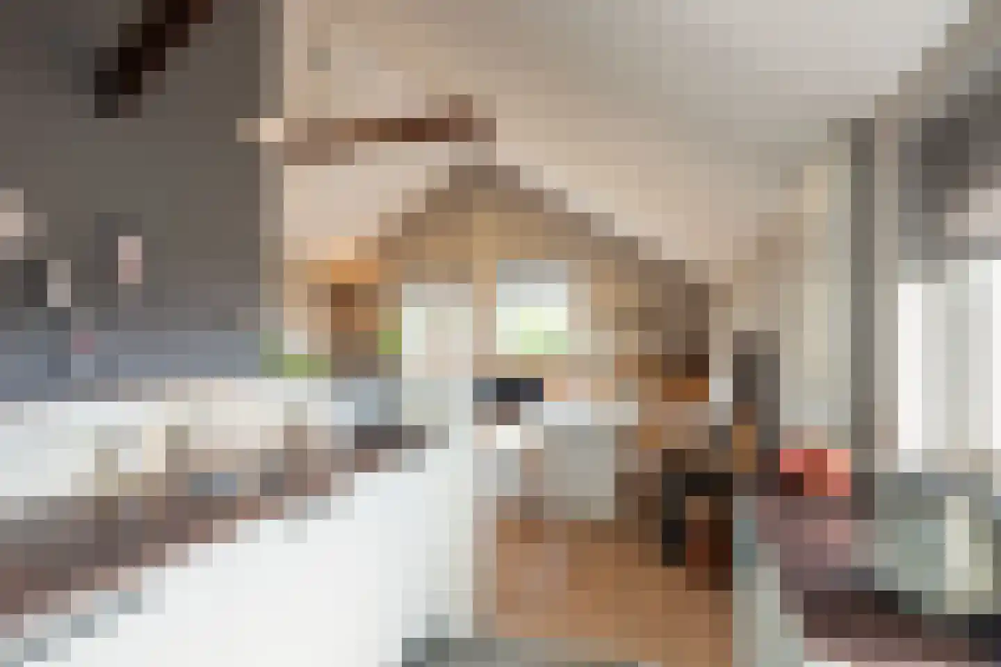Julianastraat 5 E Poeldijk thumbnail 14