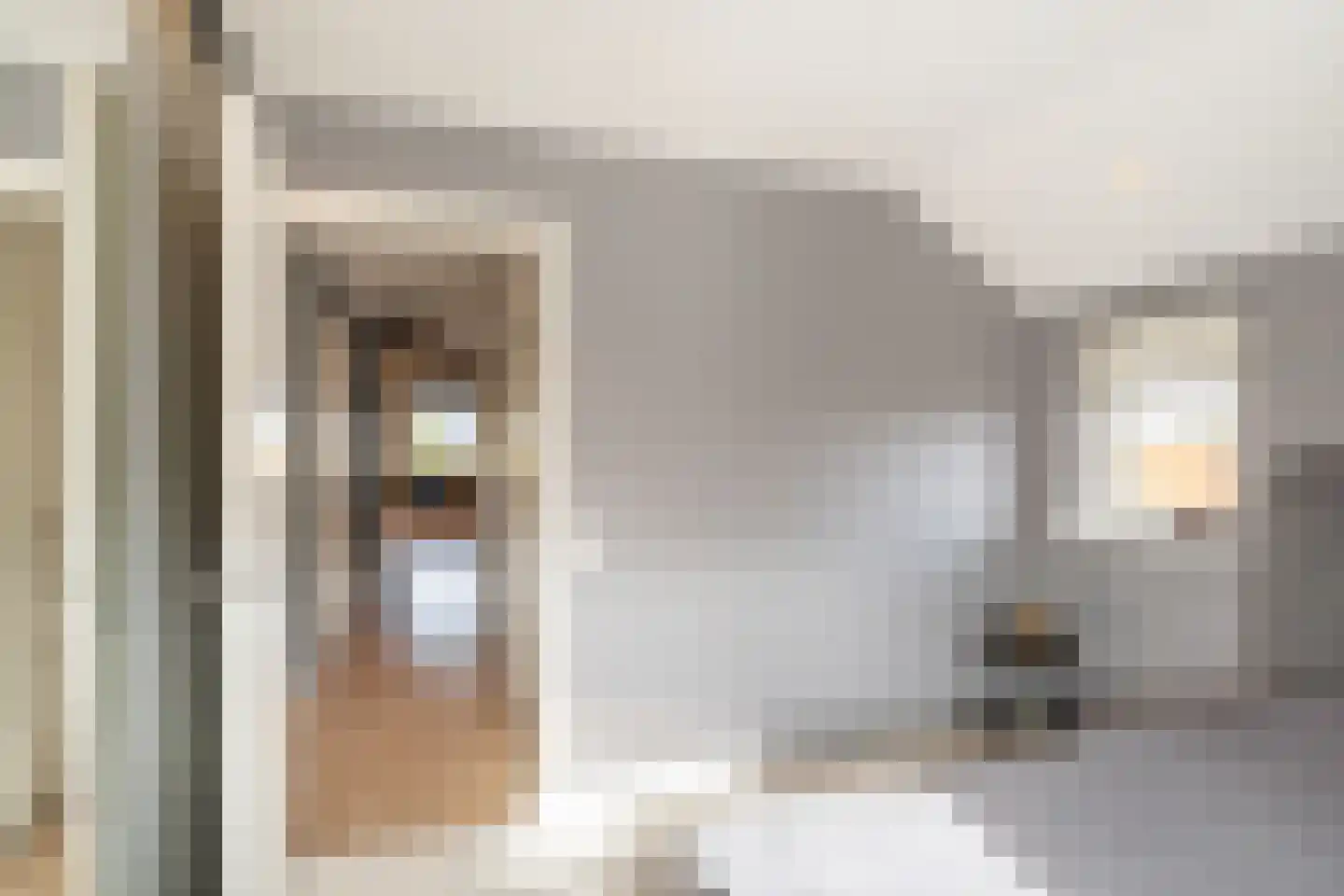 Julianastraat 5 E Poeldijk thumbnail 22