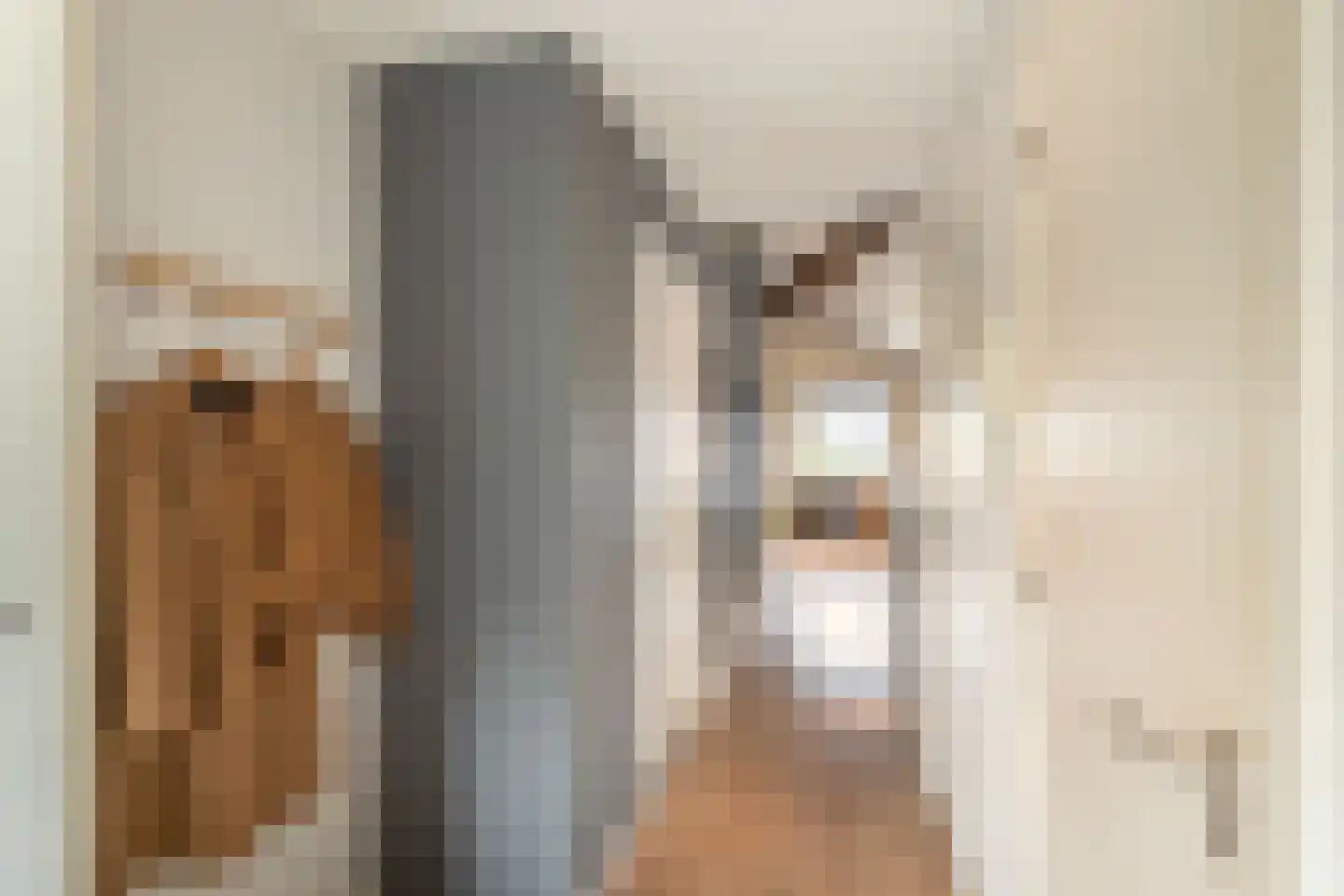 Julianastraat 5 E Poeldijk thumbnail 23