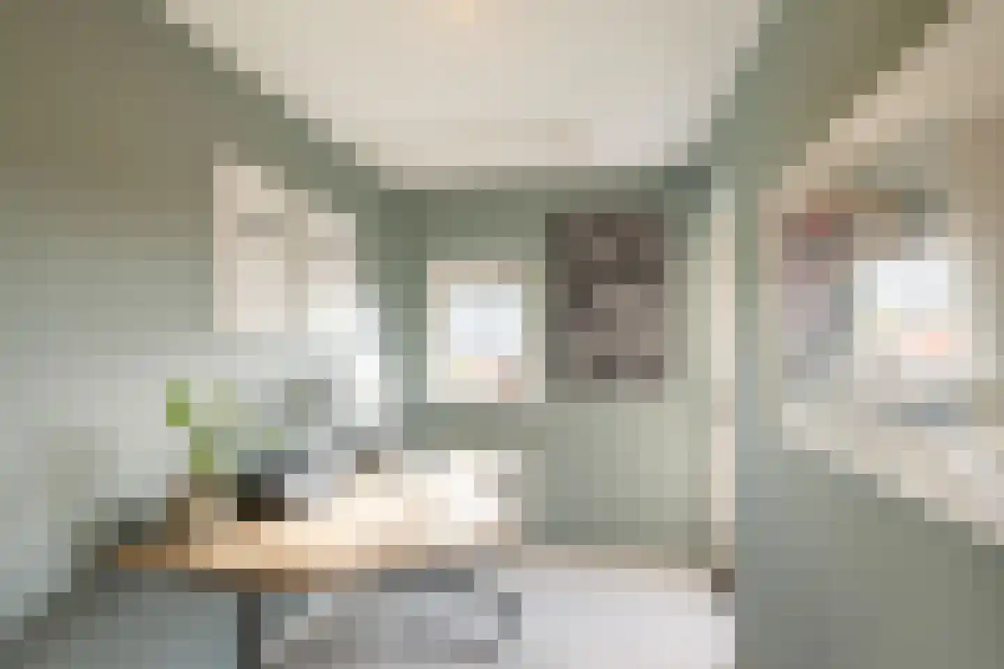 Julianastraat 5 E Poeldijk thumbnail 24