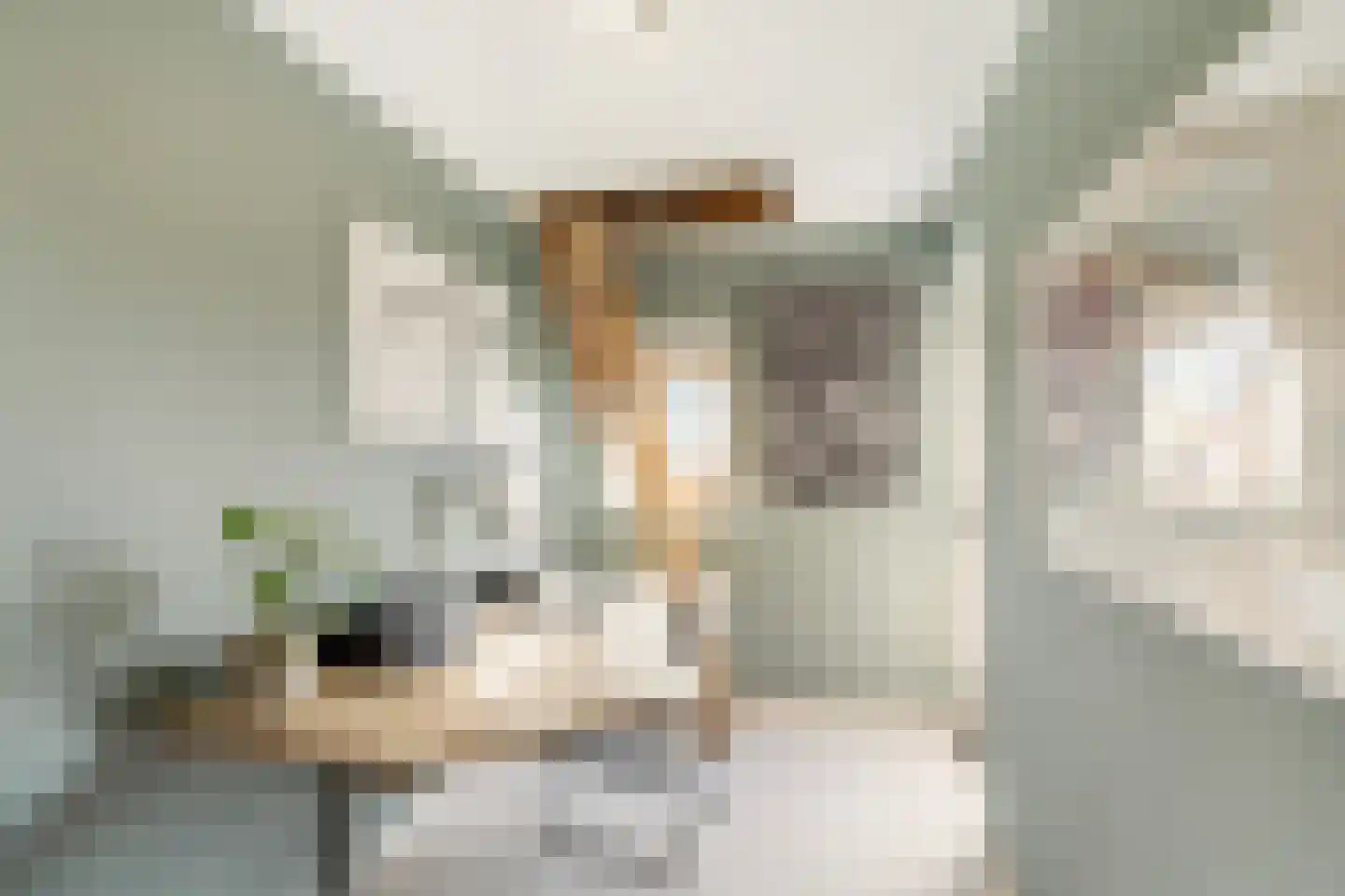 Julianastraat 5 E Poeldijk thumbnail 25