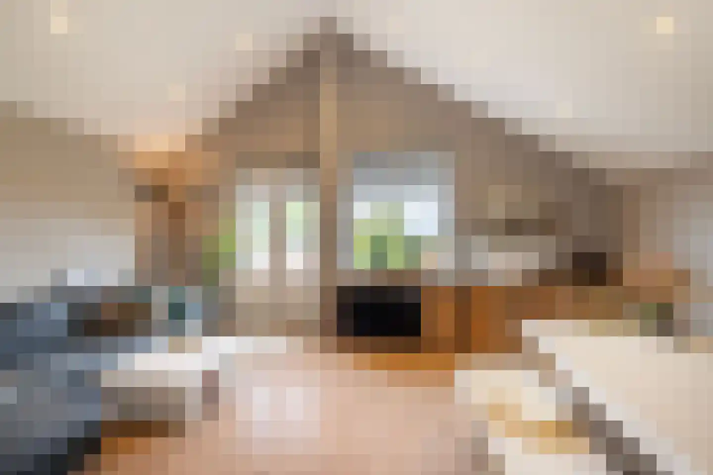 Julianastraat 5 E Poeldijk thumbnail 6