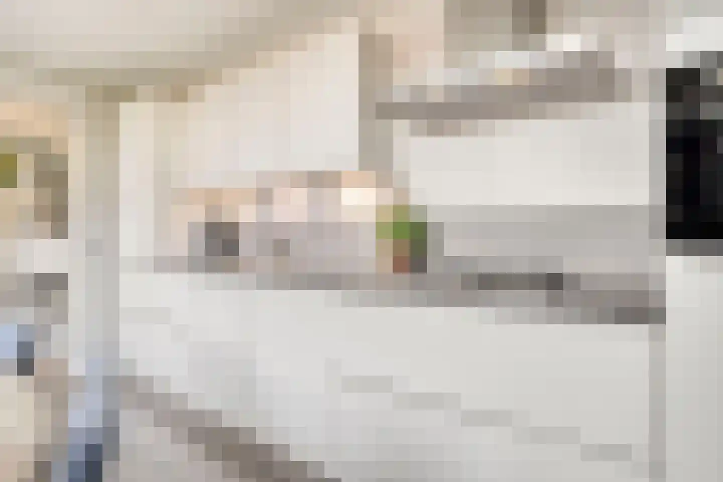 Julianastraat 5 Groningen thumbnail 22