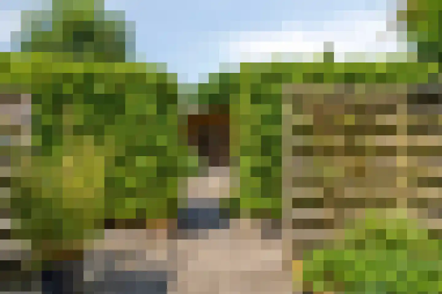 Julianastraat 5 Groningen thumbnail 45