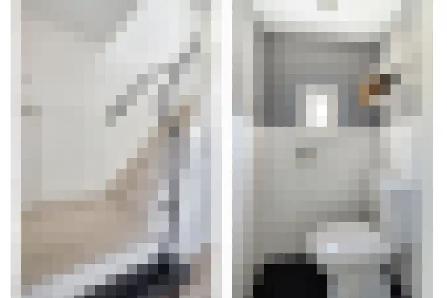 Julianastraat 5 Groningen thumbnail 8