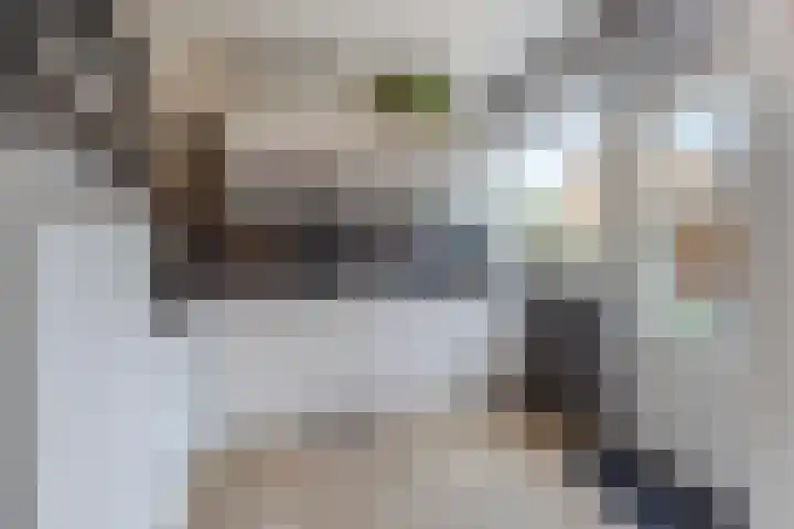 Julianastraat 5 Langerak thumbnail 12