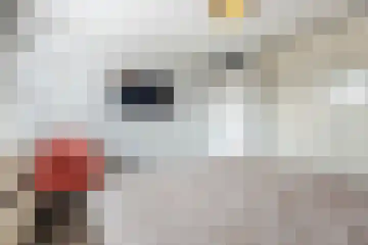 Julianastraat 5 Langerak thumbnail 18