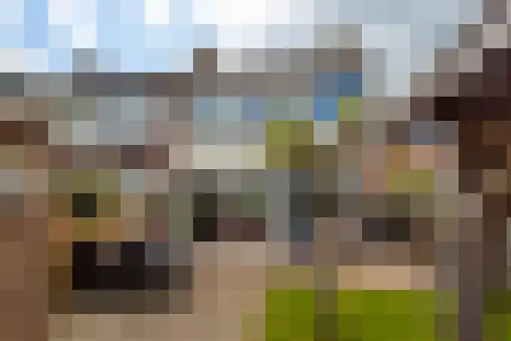 Julianastraat 5 Langerak thumbnail 25