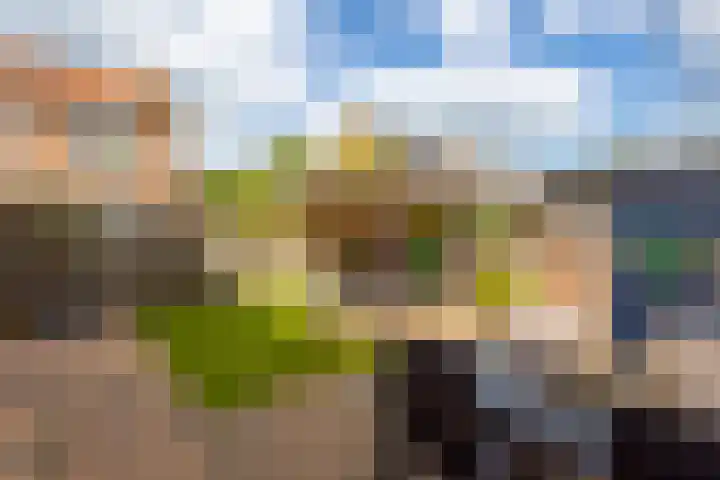 Julianastraat 5 Langerak thumbnail 26