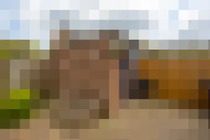 Julianastraat 5 Langerak thumbnail 28