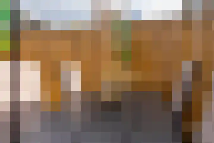 Julianastraat 5 Langerak thumbnail 29