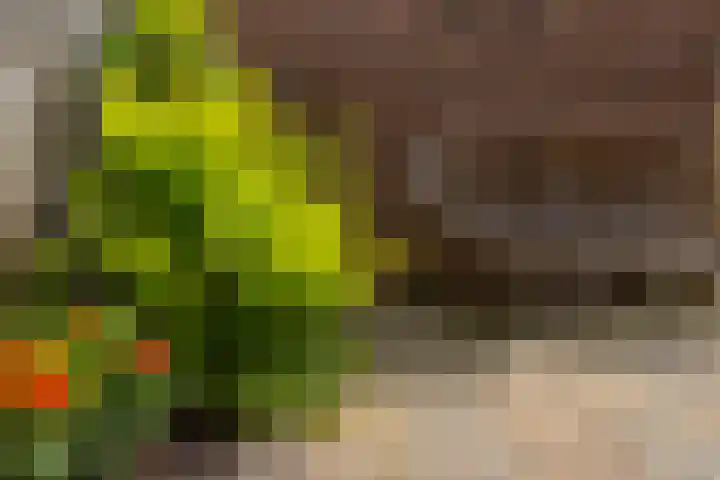 Julianastraat 5 Langerak thumbnail 30