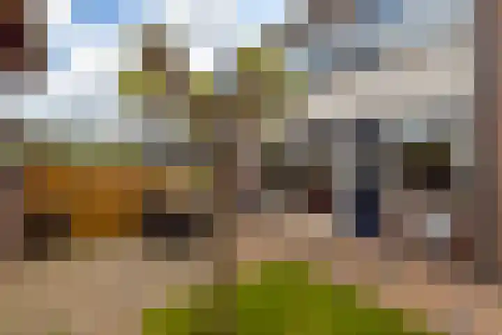 Julianastraat 5 Langerak thumbnail 31