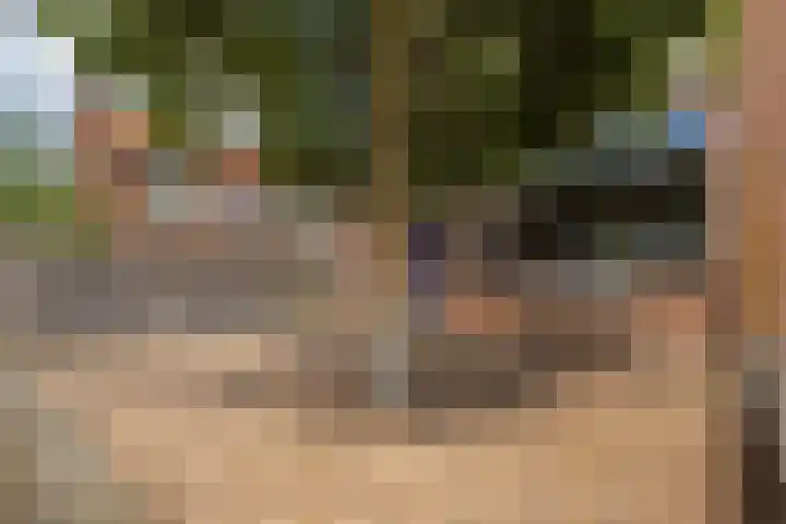 Julianastraat 5 Langerak thumbnail 35