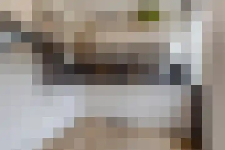 Julianastraat 5 Langerak thumbnail 4