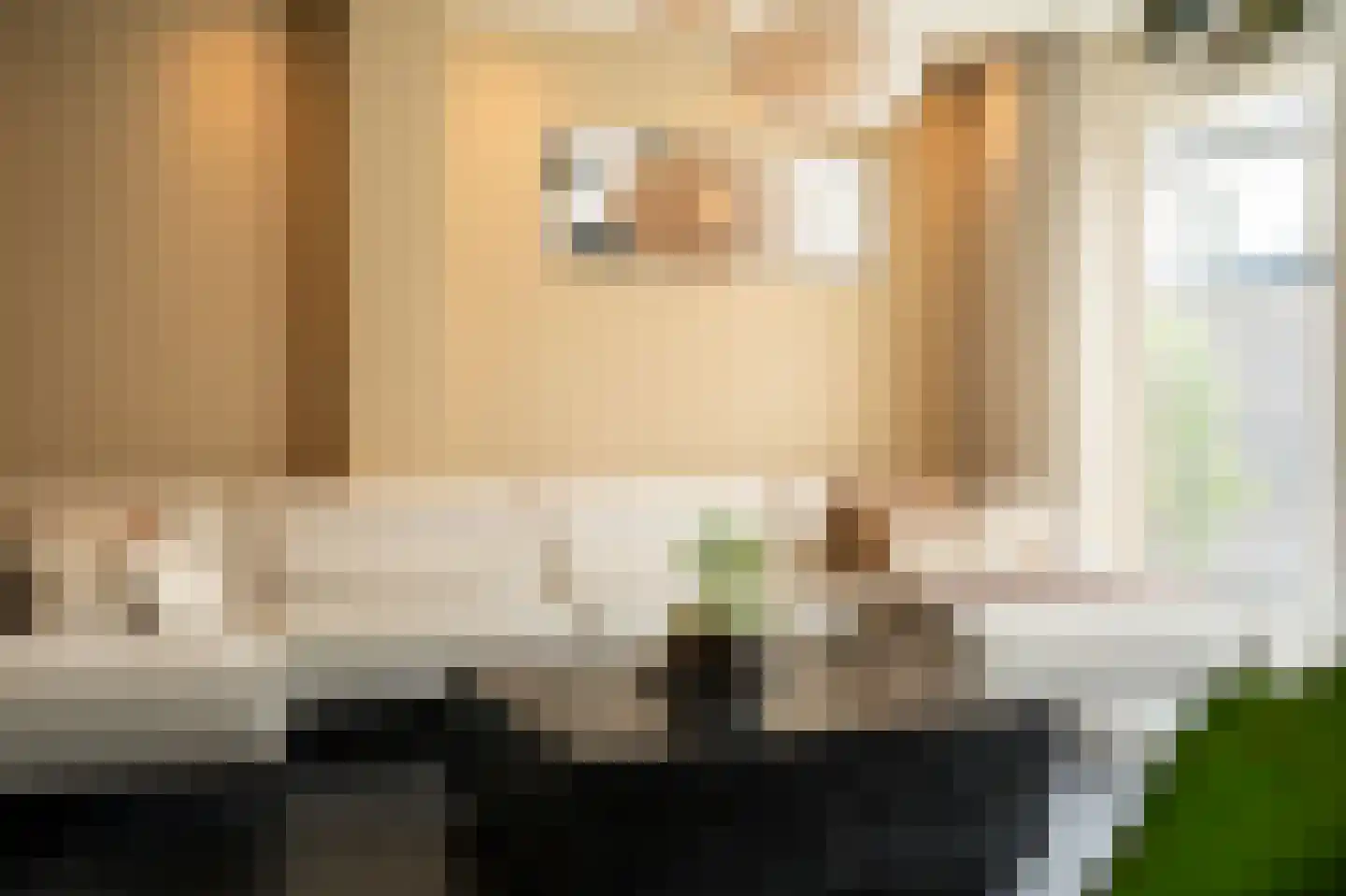 Julianastraat 5 Leerdam thumbnail 12