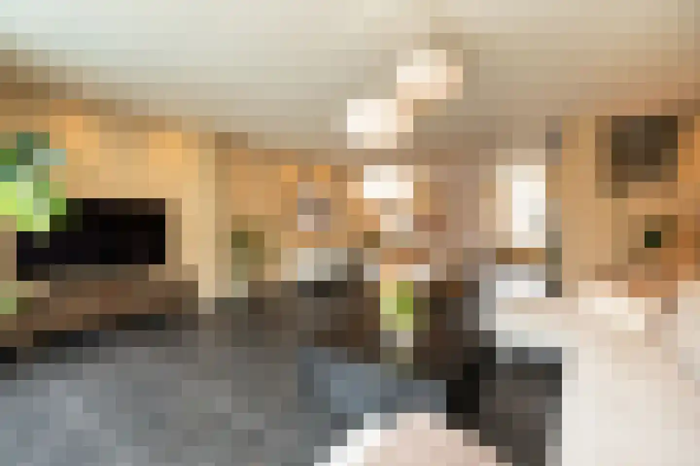 Julianastraat 5 Leerdam thumbnail 13