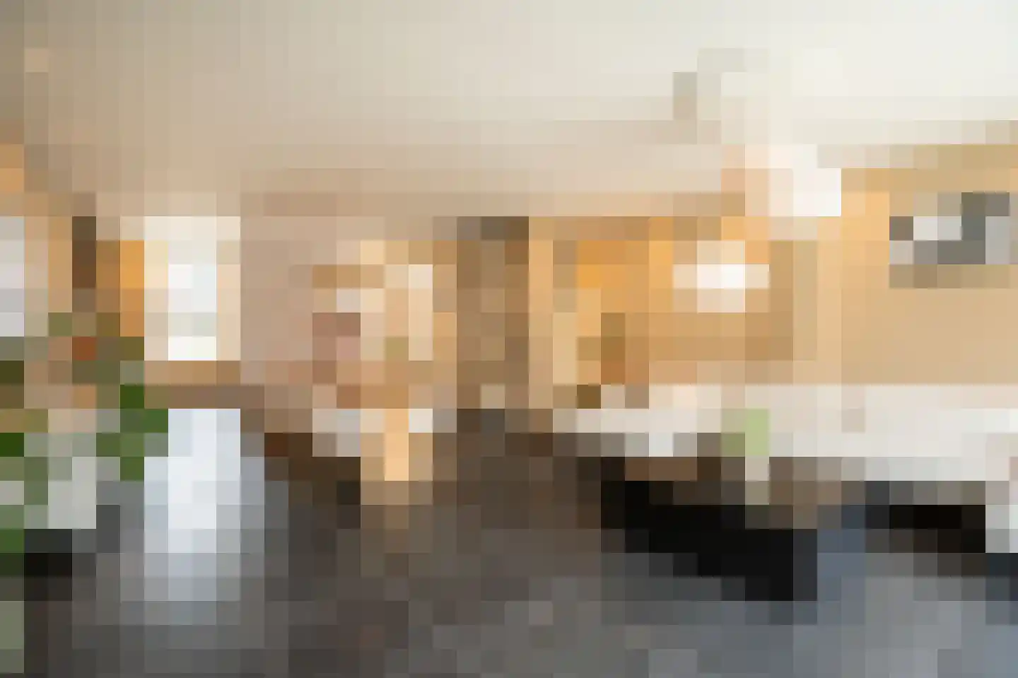 Julianastraat 5 Leerdam thumbnail 15