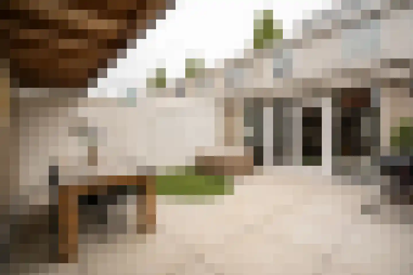 Julianastraat 5 Leerdam thumbnail 37
