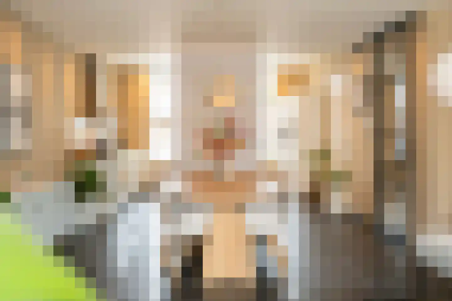 Julianastraat 5 Leerdam thumbnail 7