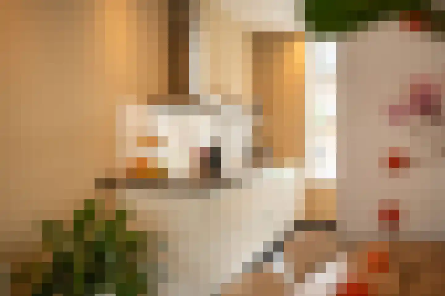 Julianastraat 5 Leerdam thumbnail 8