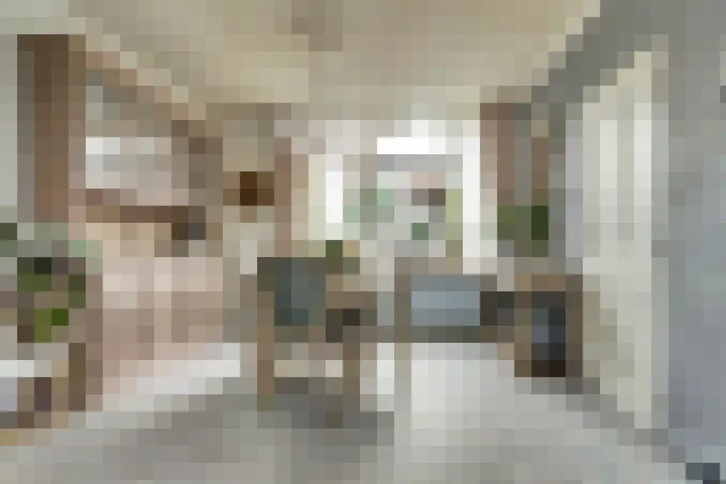 Julianastraat 5 Oudheusden thumbnail 10