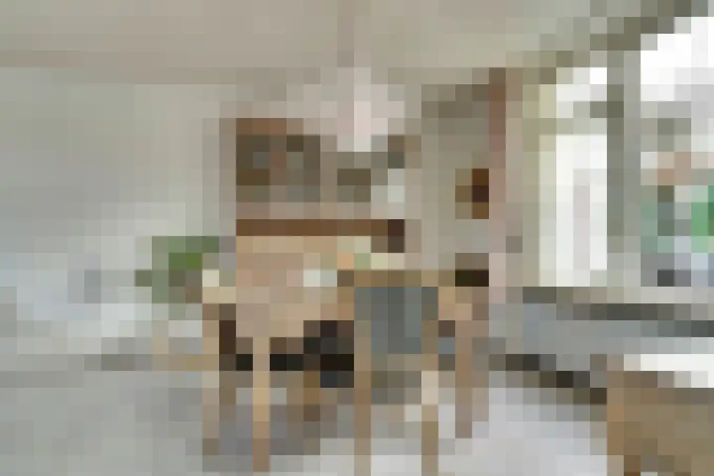 Julianastraat 5 Oudheusden thumbnail 11