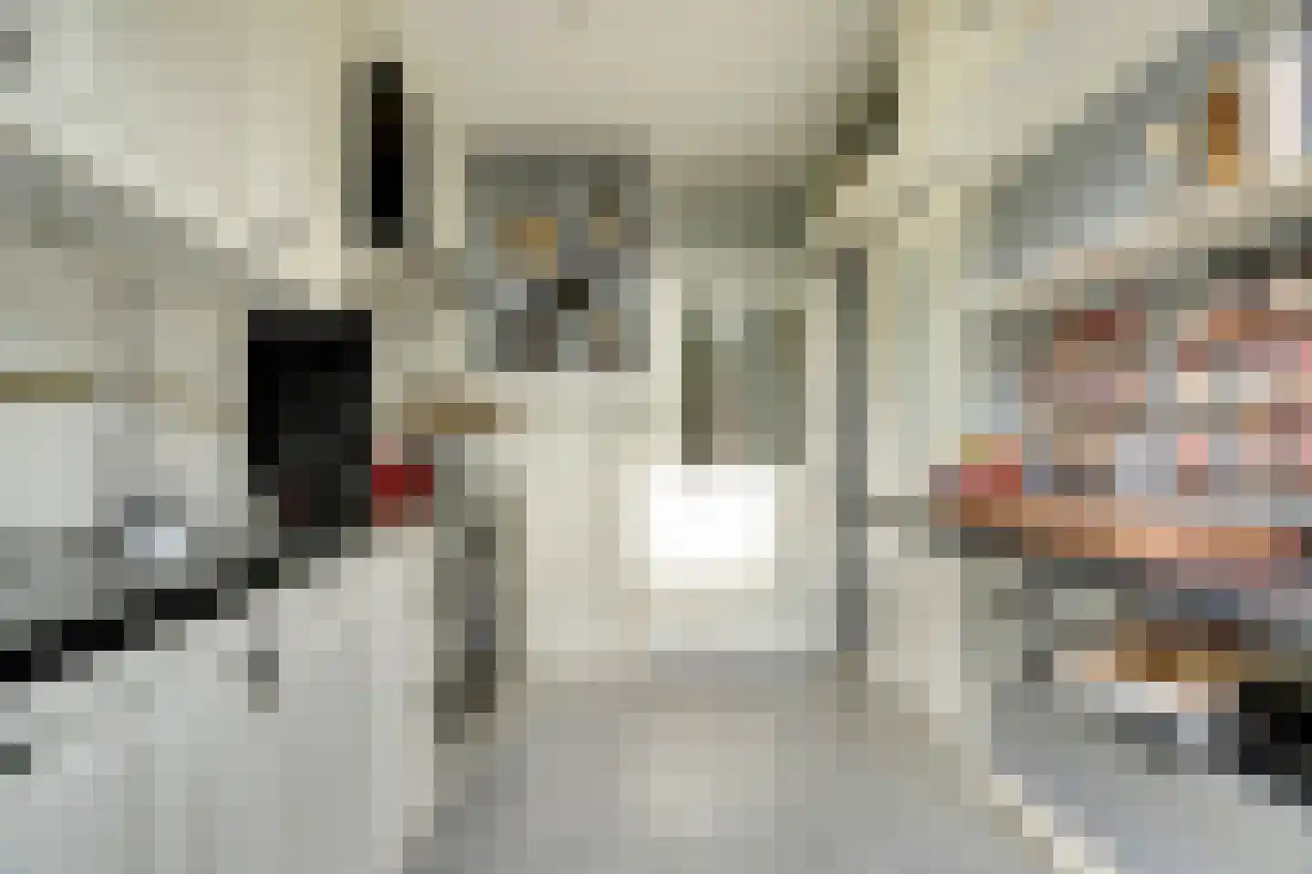 Julianastraat 5 Oudheusden thumbnail 14