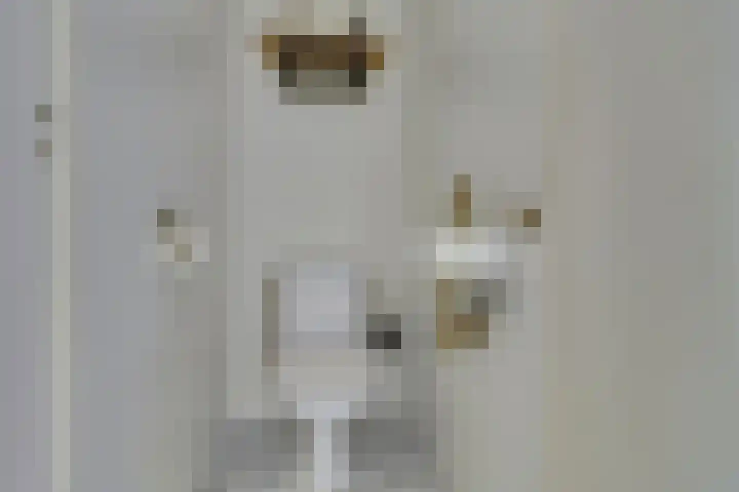 Julianastraat 5 Oudheusden thumbnail 17