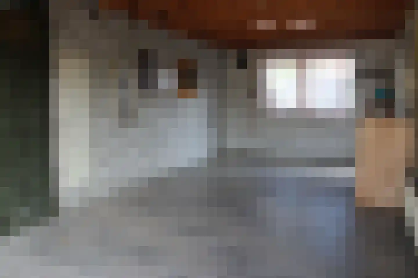 Julianastraat 5 Oudheusden thumbnail 18