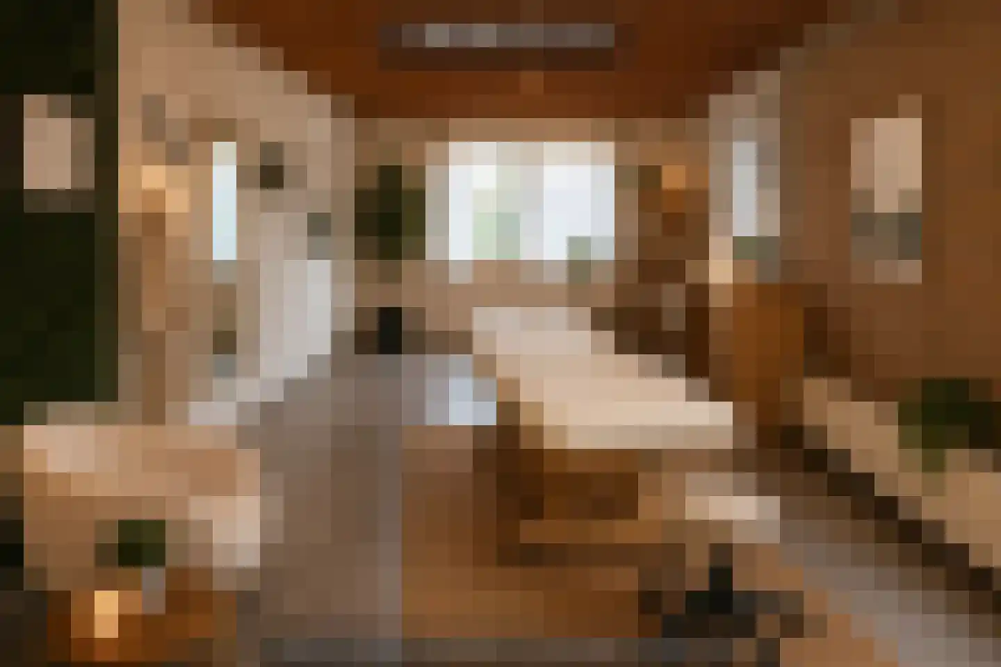 Julianastraat 5 Oudheusden thumbnail 19