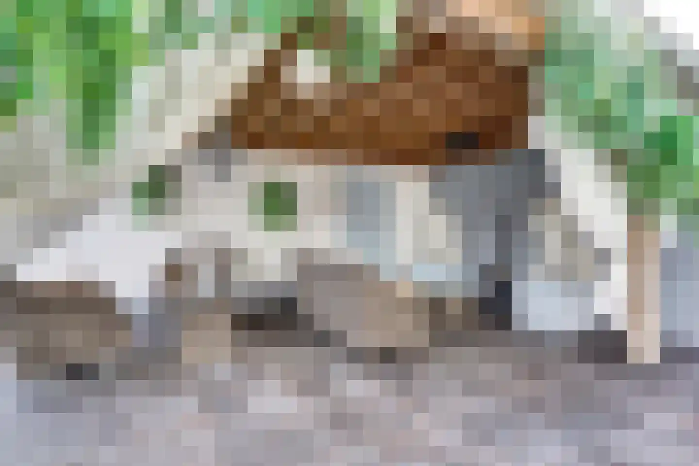 Julianastraat 5 Oudheusden thumbnail 27