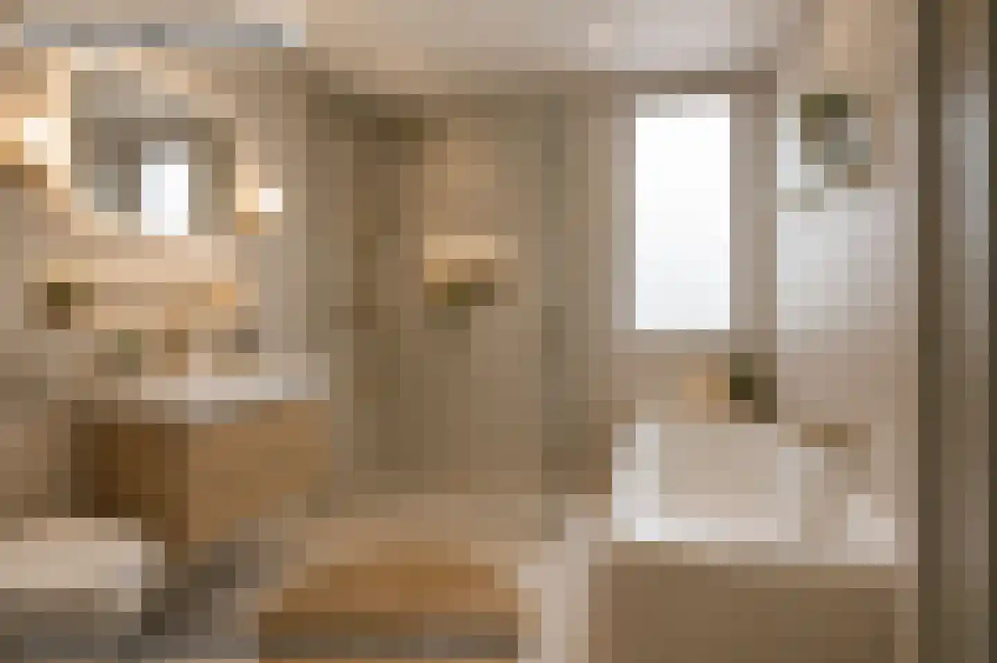 Julianastraat 5 Oudheusden thumbnail 29