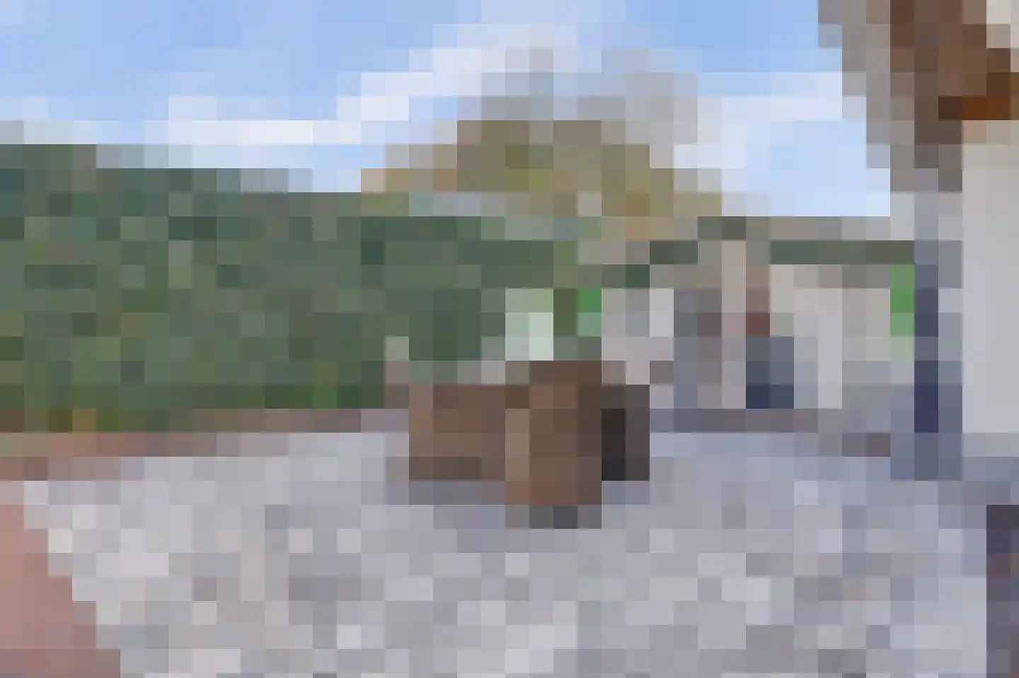 Julianastraat 5 Oudheusden thumbnail 29
