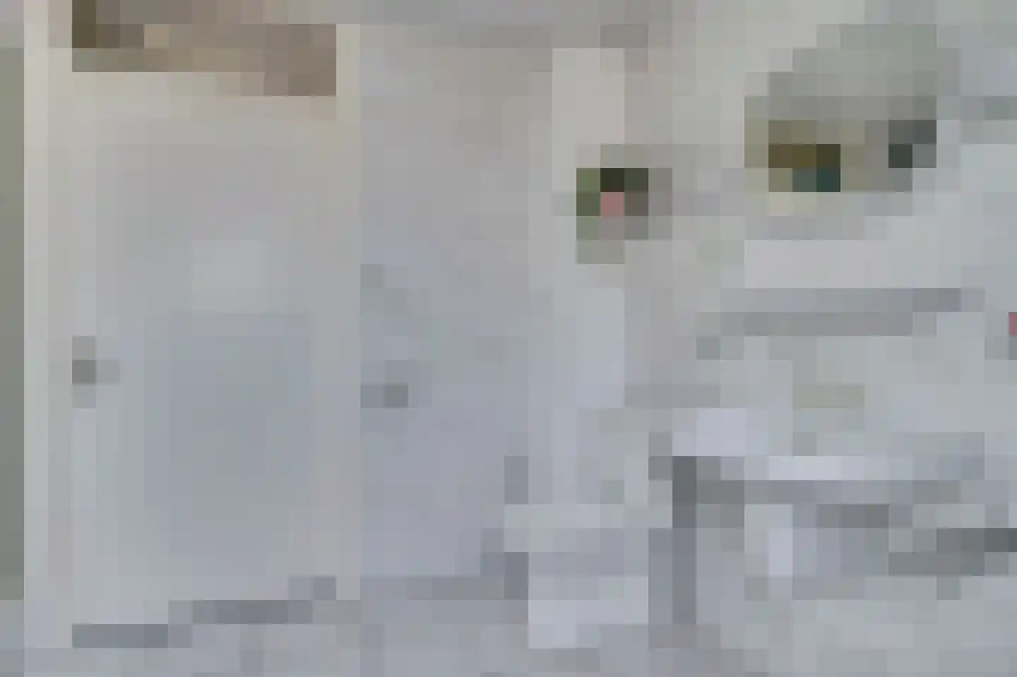 Julianastraat 5 Oudheusden thumbnail 30