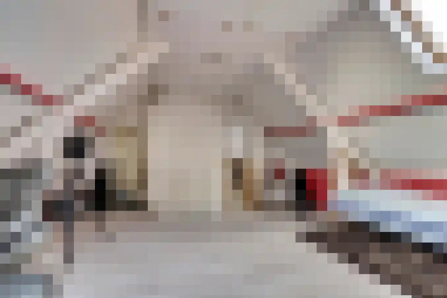 Julianastraat 5 Oudheusden thumbnail 32