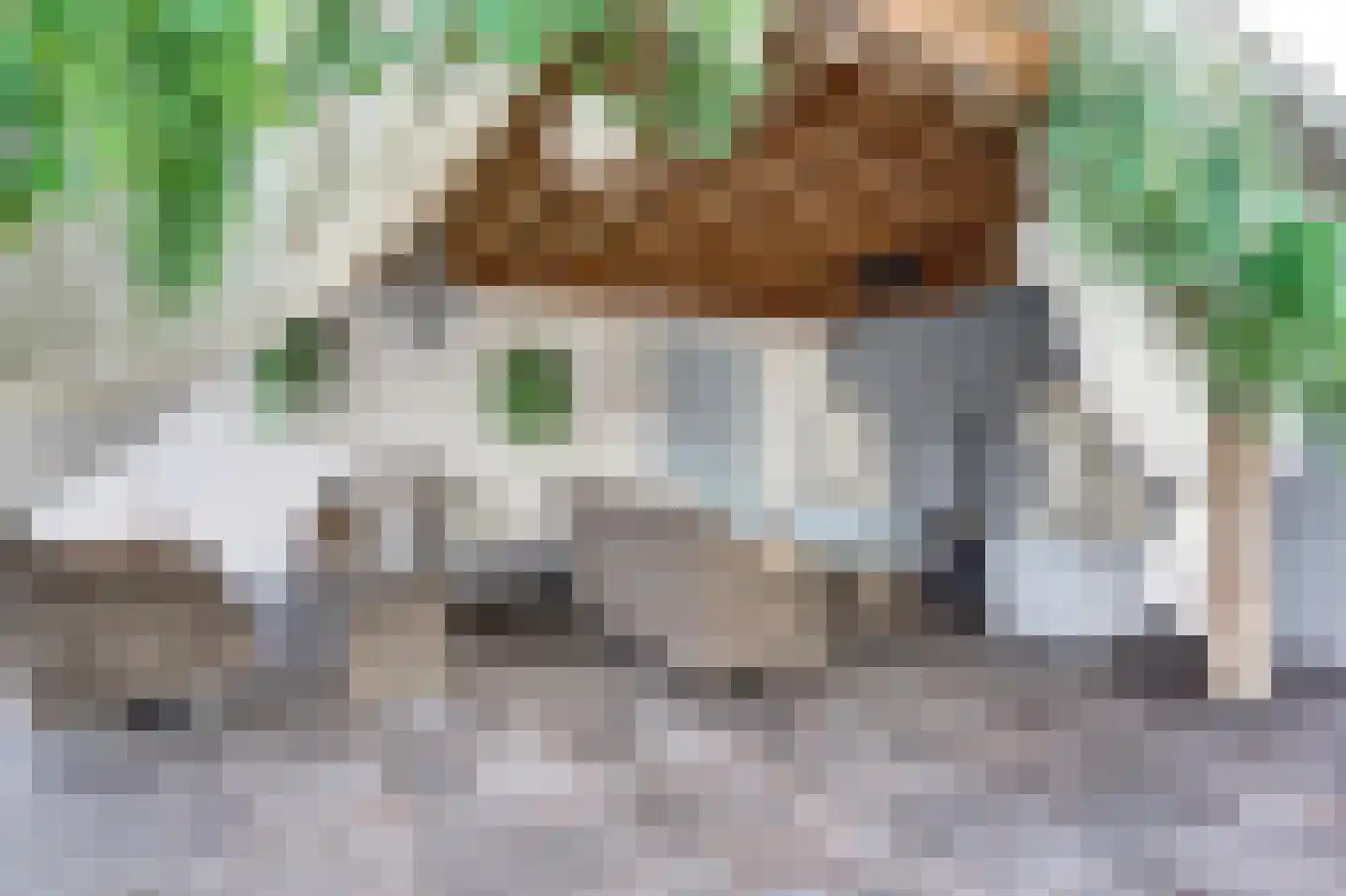 Julianastraat 5 Oudheusden thumbnail 36