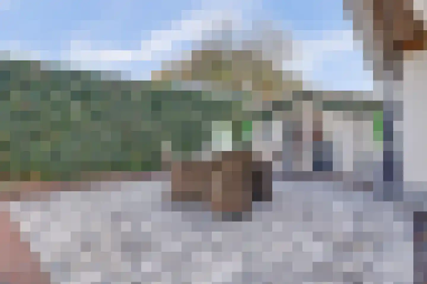 Julianastraat 5 Oudheusden thumbnail 39