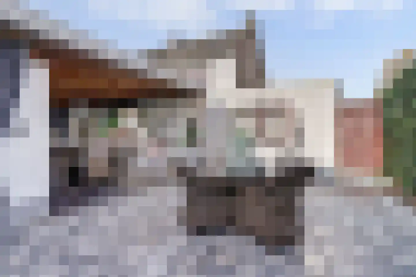 Julianastraat 5 Oudheusden thumbnail 40