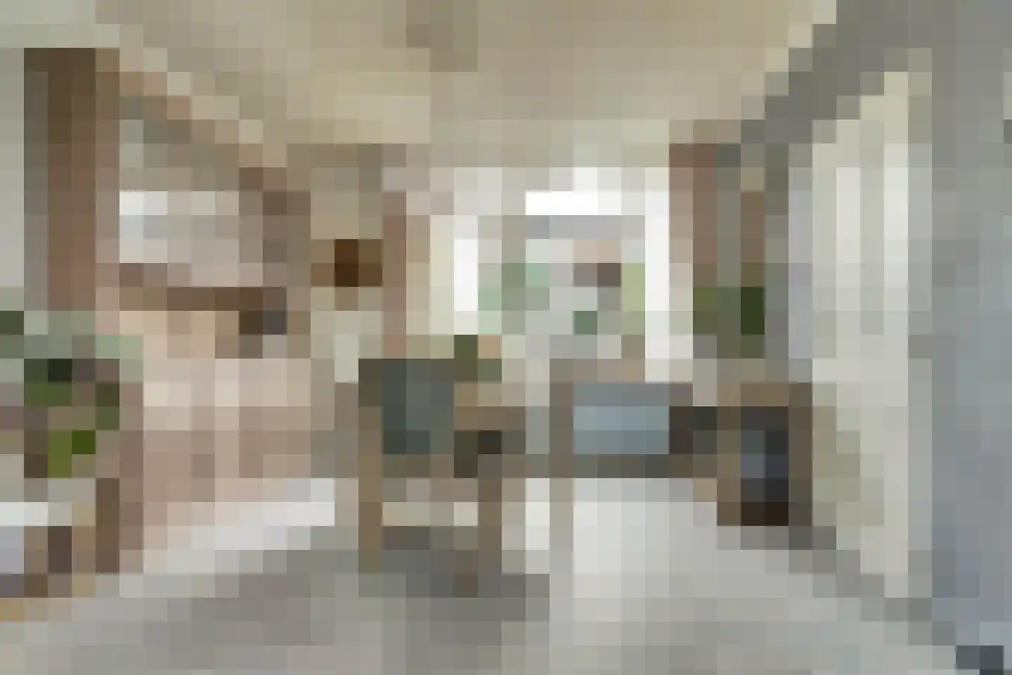 Julianastraat 5 Oudheusden thumbnail 5