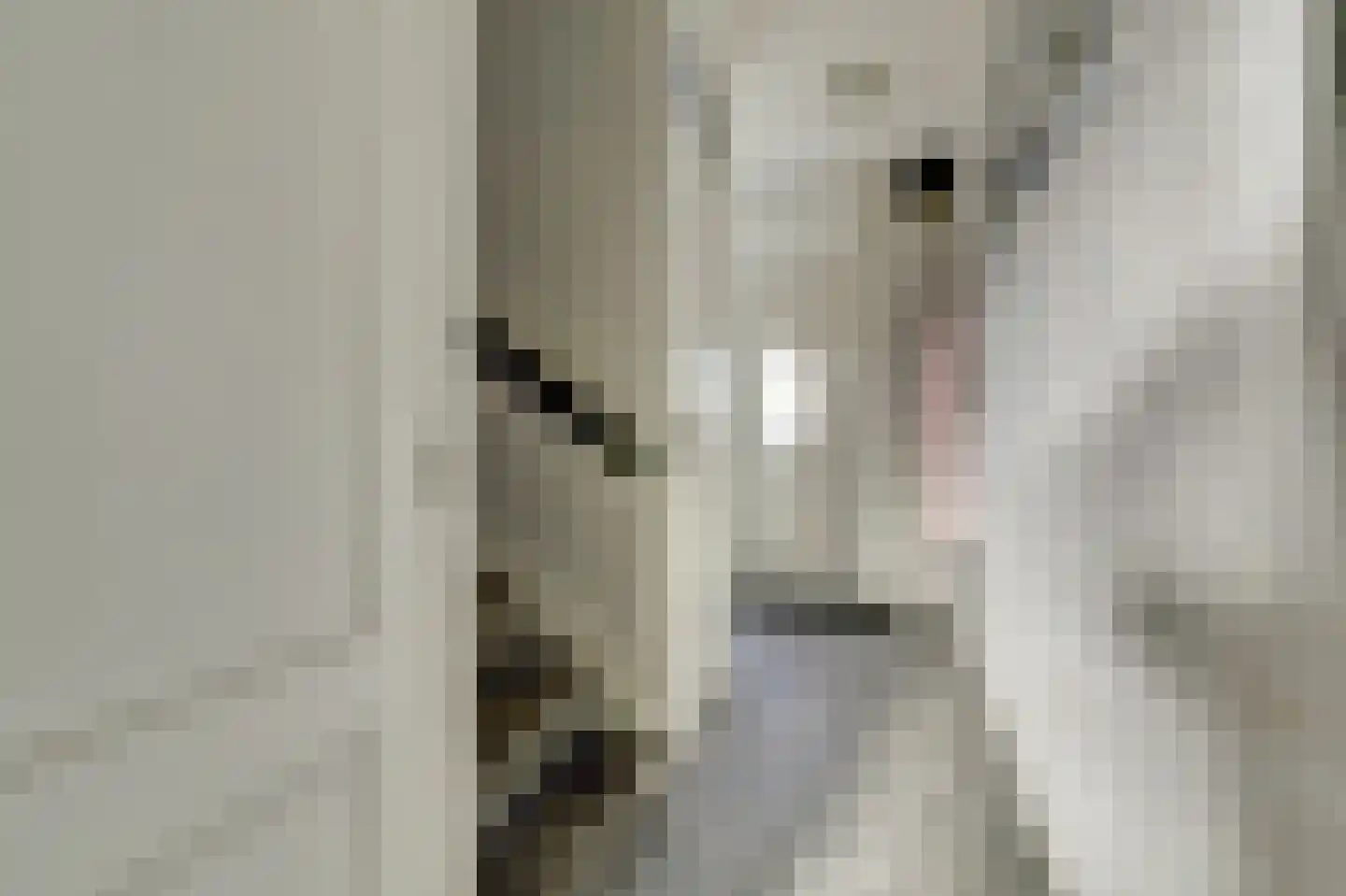 Julianastraat 5 Oudheusden thumbnail 5