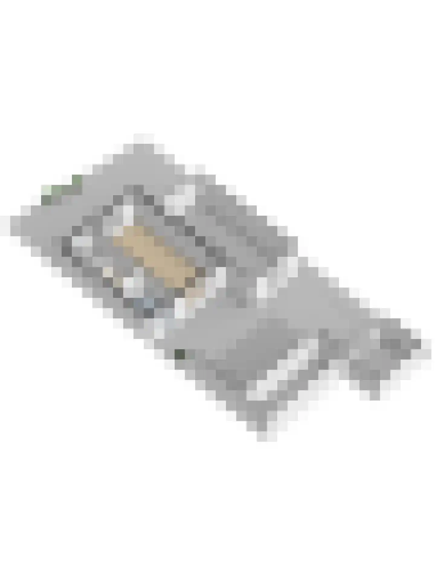 Julianastraat 5 Oudheusden thumbnail 59