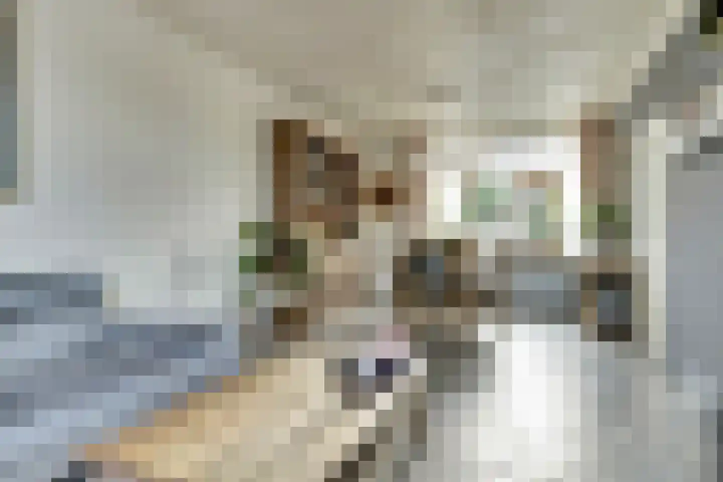Julianastraat 5 Oudheusden thumbnail 9